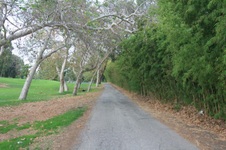 Enlarge photo 30