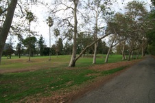 Enlarge photo 32