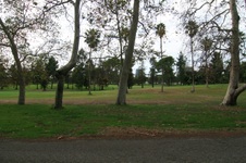 Enlarge photo 33