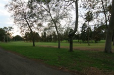 Enlarge photo 34