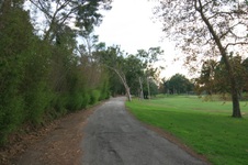 Enlarge photo 36