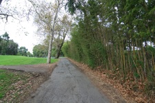 Enlarge photo 38