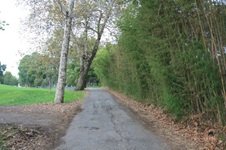 Enlarge photo 39