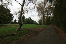 Enlarge photo 41