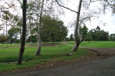 Enlarge photo 42