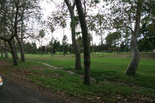 Enlarge photo 43