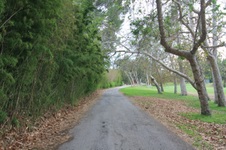 Enlarge photo 45