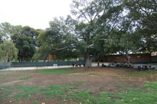 Enlarge photo 52