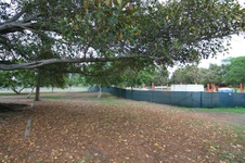 Enlarge photo 54