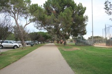 Enlarge photo 59