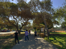 Enlarge photo 20