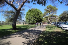 Enlarge photo 16