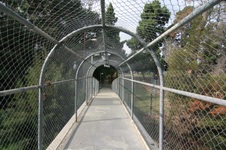 Enlarge photo 25