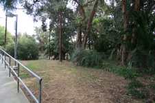 Enlarge photo 36