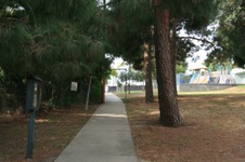 Enlarge photo 38