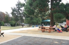 Enlarge photo 45