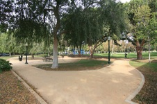 Enlarge photo 10