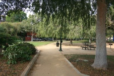 Enlarge photo 11