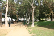 Enlarge photo 37
