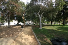 Enlarge photo 40