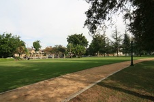 Enlarge photo 47