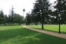 Enlarge photo 48
