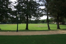 Enlarge photo 49