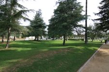 Enlarge photo 54