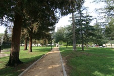 Enlarge photo 57