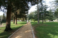 Enlarge photo 59