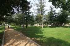 Enlarge photo 60