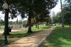 Enlarge photo 61