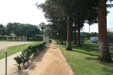 Enlarge photo 64