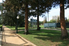 Enlarge photo 65