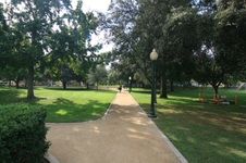 Enlarge photo 66