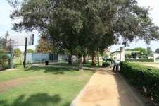 Enlarge photo 67