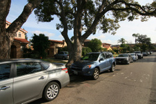 Enlarge photo 16