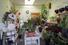 Enlarge photo 11