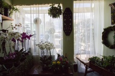 Enlarge photo 13