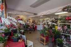 Enlarge photo 4