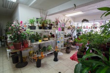 Enlarge photo 6