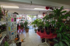 Enlarge photo 7