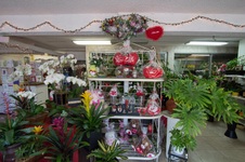 Enlarge photo 10