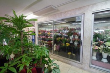 Enlarge photo 11