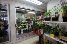 Enlarge photo 12
