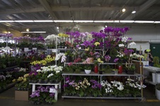 Enlarge photo 28