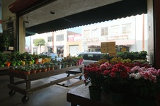 Enlarge photo 30