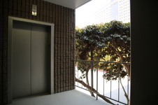 Enlarge photo 30
