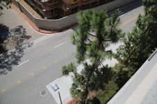 Enlarge photo 43