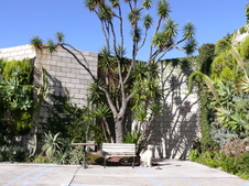 Enlarge photo 10